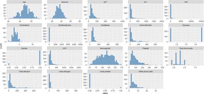 A framework for identification and classification of liver diseases based on machine learning algorithms